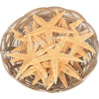 105963 ΚΑΛΑΘΑΚΙ ΑΣΤΕΡΙΕΣ FLAT 3--4- ΦΥΣΙΚΟ